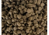 Highly Digestible Complete Cat Food kibble — supplier catalogue reference